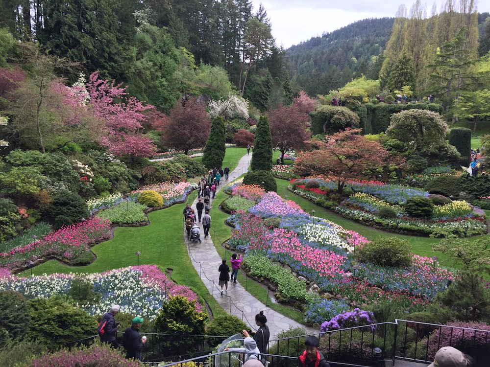 A beautiful stroll in our famous Vancouver Island Butchart gardens