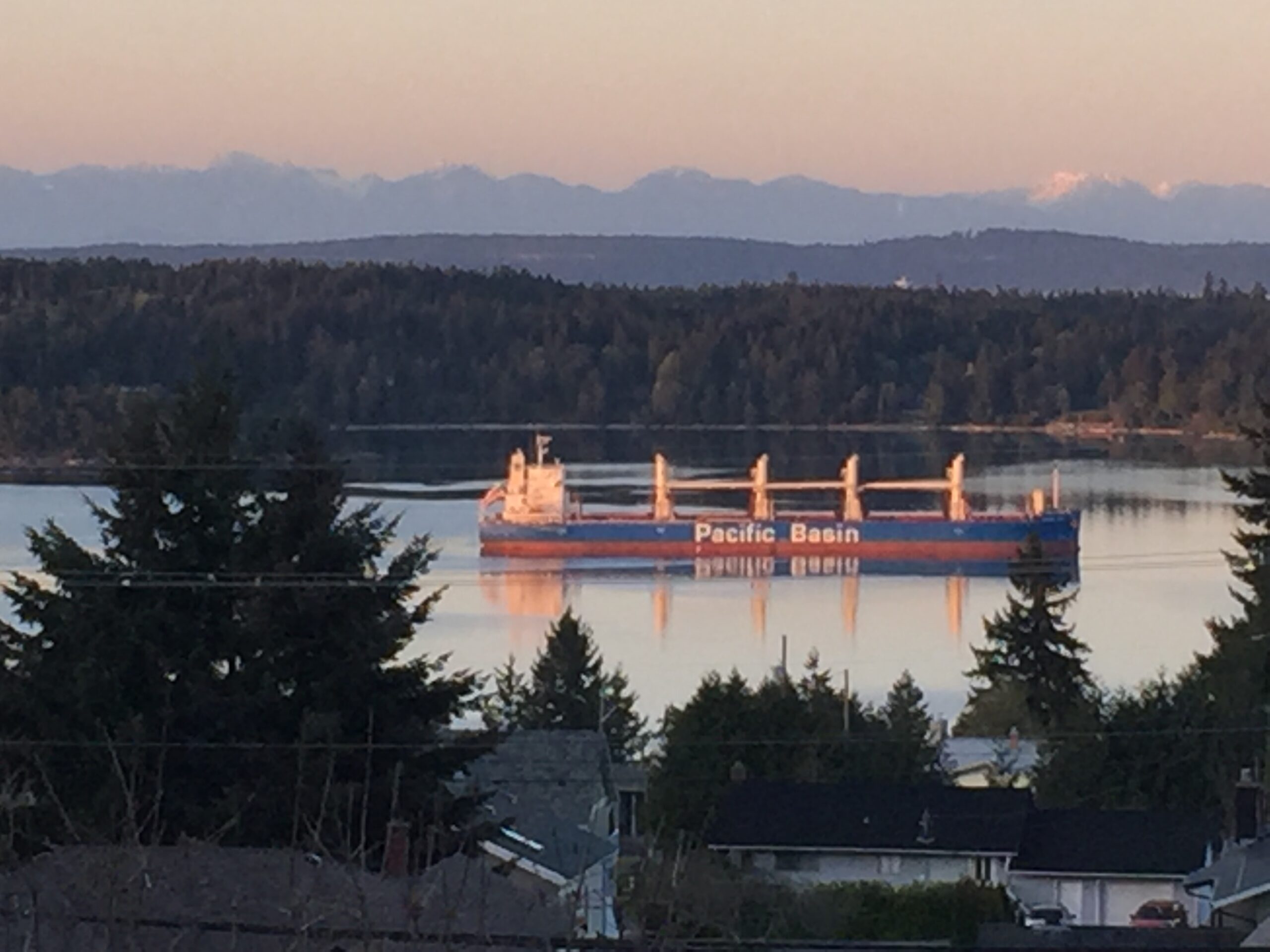 Freighter waiting to load sits in Ladysmith Harbour 2020 Picture taken from our home.