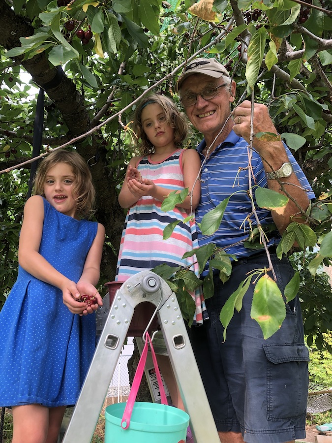 Cherry picking. Pearse Walsh with his twin granddaughters. July 2021